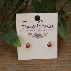 Pendientes minimalistas con flor auténtica de “Zanahoria Salvaje” sobre fondo de resina roja. Vástago de acero inoxidable bañado en plata.