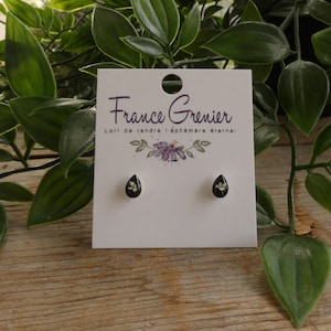 Pendientes minimalistas con flor real &quot;Zanahoria Salvaje&quot; sobre fondo de resina negra Tallo de acero inoxidable bañado en plata.