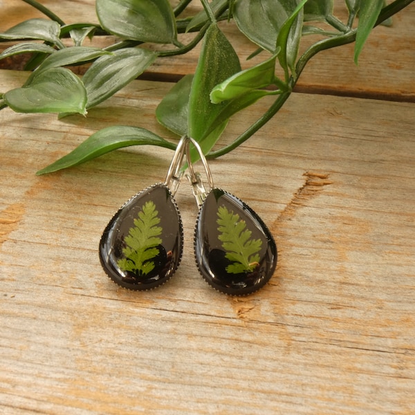 Boucles d'oreilles fait avec " Fougère  " sur fond de résine noir .Bijoux botanique fait de véritable  fougère du Québec 18x 13mm