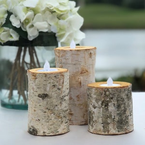 Christmas Birch Tealight Holder Real Birch Log Candle Holders Wooden Tealight Candleholder Succulent Plant Holder for Home Party Fireplace Decoration Pack of 4 Same Height 2.36x2.36 Christmas Birch Tealight Holder Real Birch Log Candle Holders Wooden Tealight Candleholder Succulent Plant Holder for Home Party Fireplace Decoration Pack of 4 Same Height 2.36x2.36