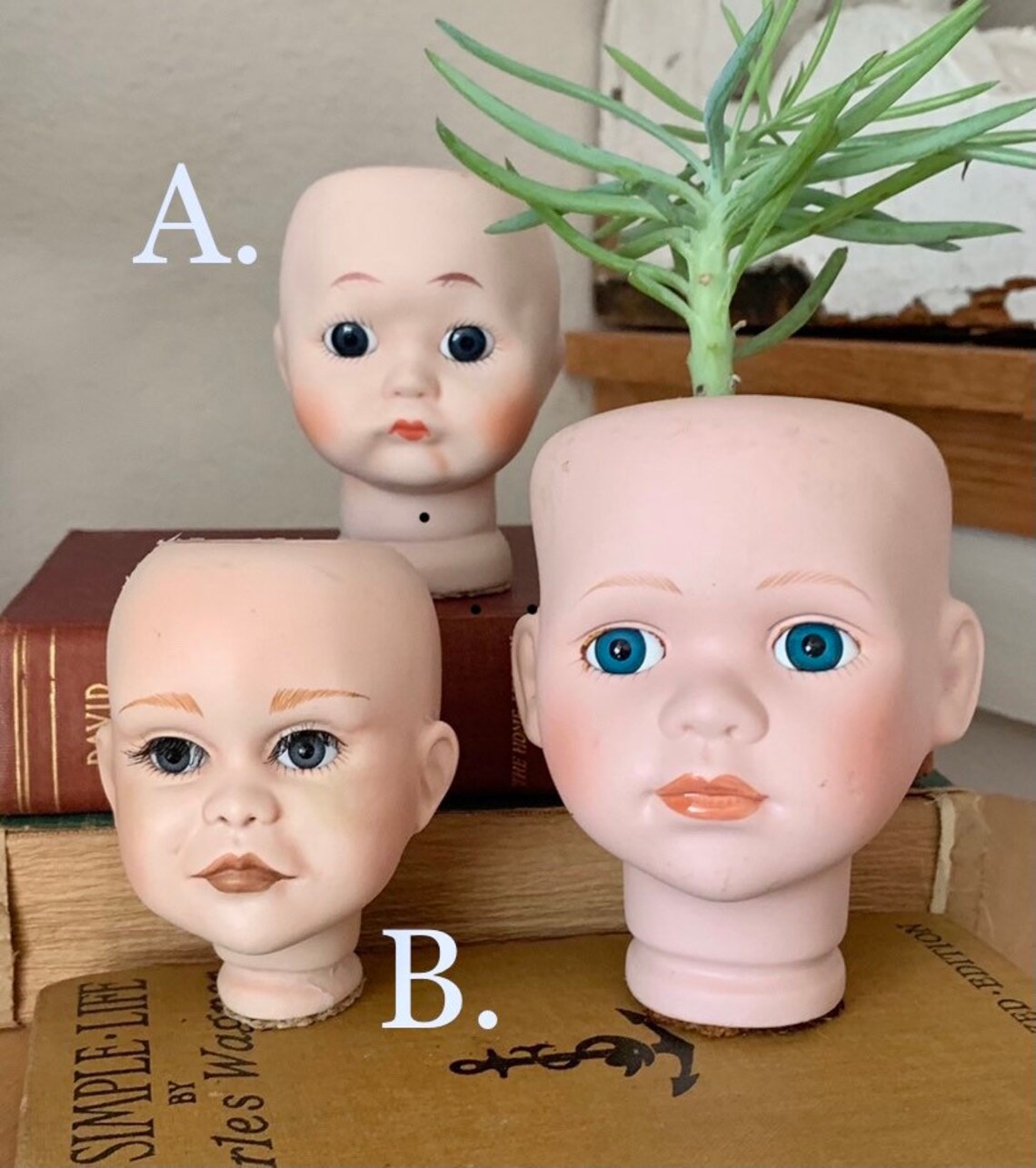 Vintage Doll Head Planter Window Sill Planter Herbs Succulents Etsy