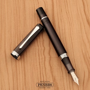 PENBBS 489 TD Filling Fountain Pen - 119 Black Tortoise F