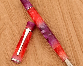 PENBBS 495 piston filler fountain pen - 29 Berries - F