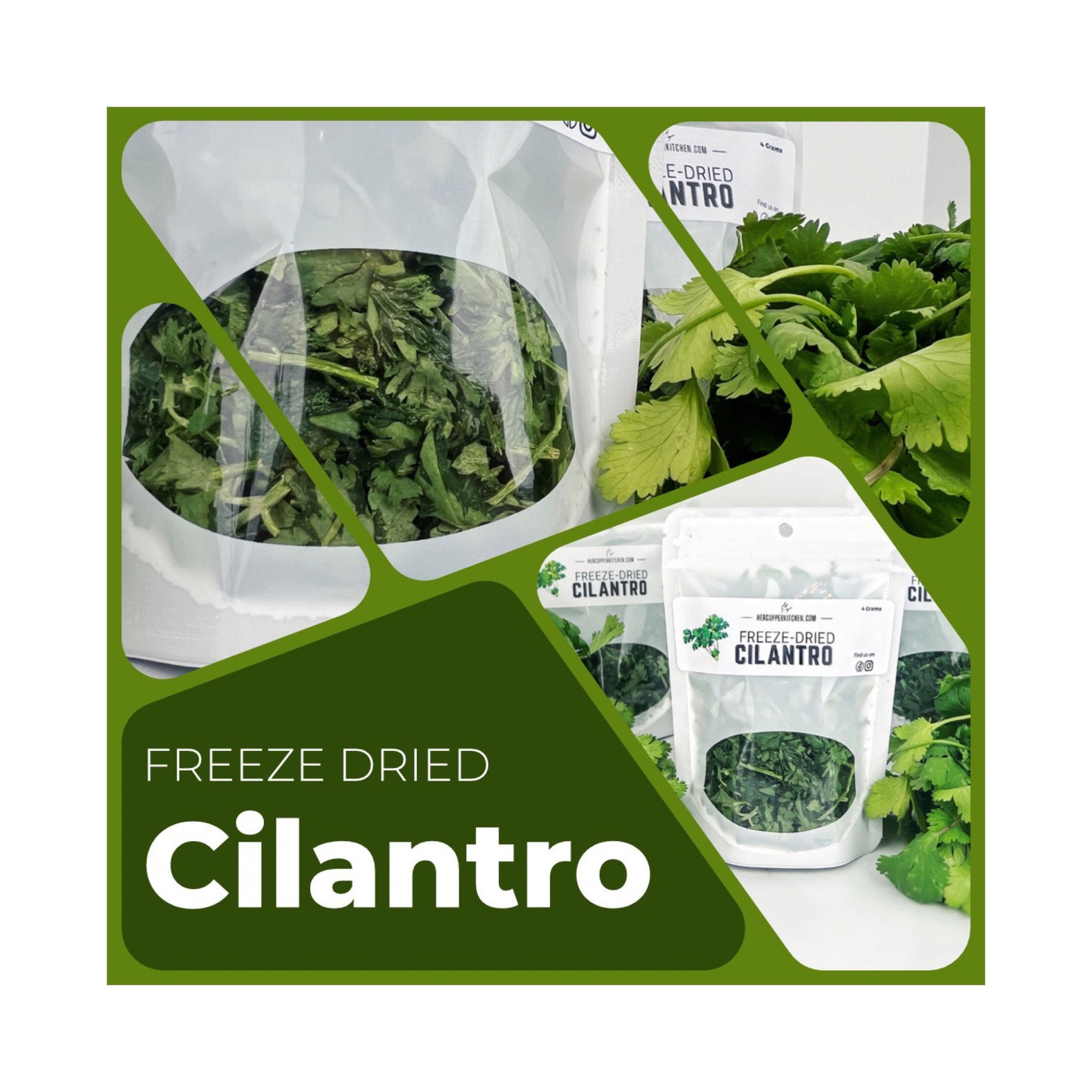 Freeze Dried CILANTRO Herbs Etsy