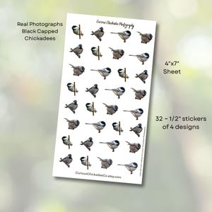 May include: A sheet of stickers featuring realistic illustrations of Black-Capped Chickadees. The sheet measures 4" x 7" and contains 32 stickers of 4 different designs. The text "Real Photographs Black Capped Chickadees" is visible.