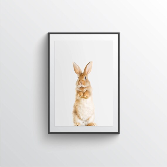bunny poster nursery