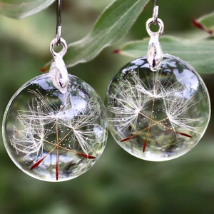 real flower earrings with dandelion seeds in eco epoxy resin, round, 1.8 cm, stainless steel earhooks