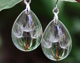 real flower earrings with dandelion seeds in eco epoxy resin, teardrop shape, stainless steel earhooks