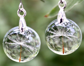real flower earrings with dandelion seeds in eco epoxy resin, round, 1.6 cm, stainless steel earhooks