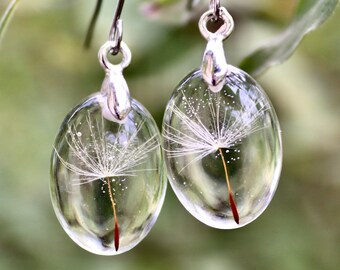 real flower earrings with dandelion seeds in eco epoxy resin, oval, stainless steel earhooks