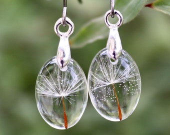 real flower earrings with dandelion seeds in eco epoxy resin, oval, stainless steel earhooks