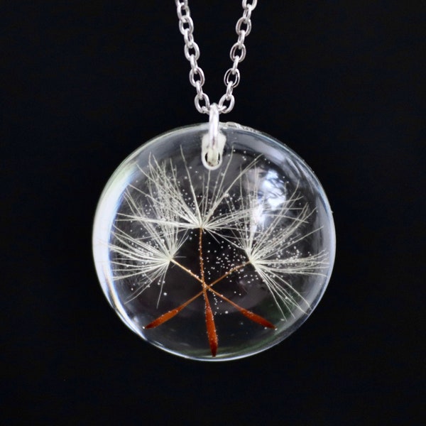 Dandelion necklace: round pendant with real dandelion seeds in transparent epoxy resin, 2 cm, stainless steel chain, adjustable length