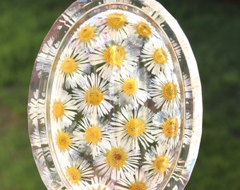 flower soapdish with real pressed daisies in ecofriendly epoxy resin, oval, transparent - perfect gift for nature lovers