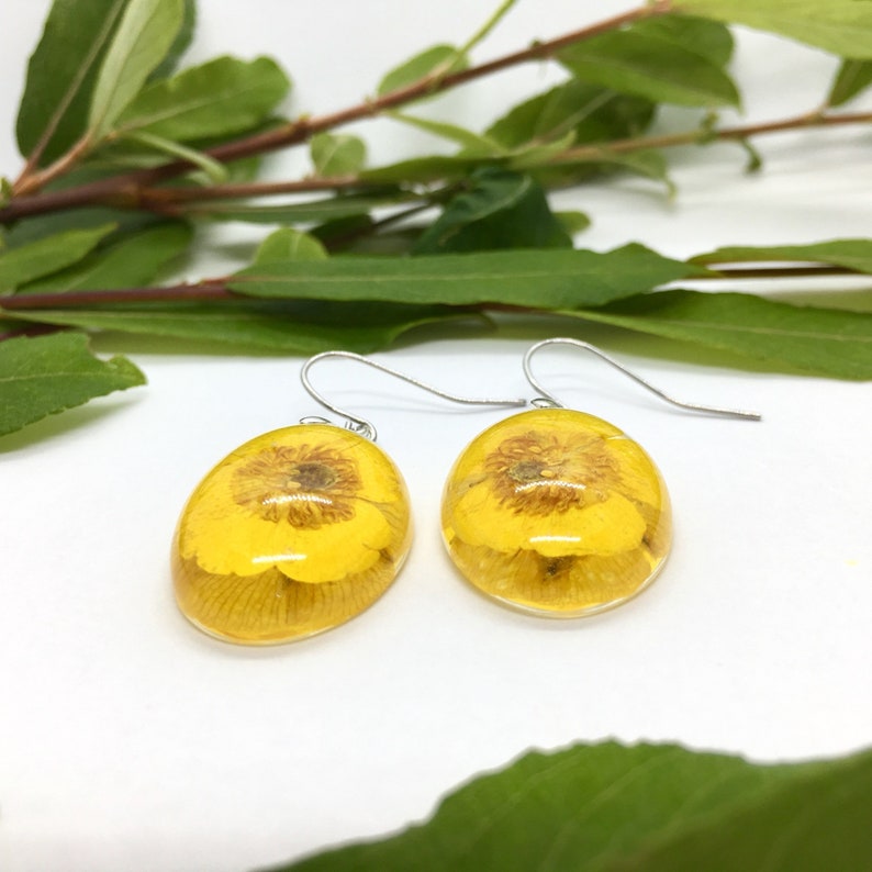 oval real flower earrings with buttercup flowers in eco epoxy resin earhooks made of stainless steel