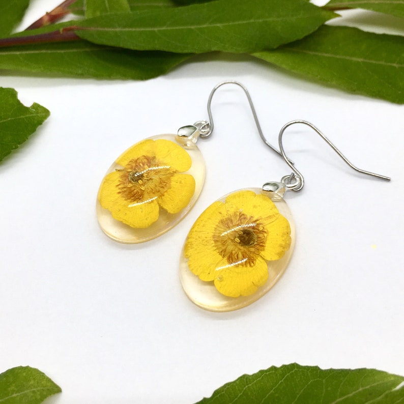 oval real flower earrings with buttercup flowers in eco epoxy resin earhooks made of stainless steel