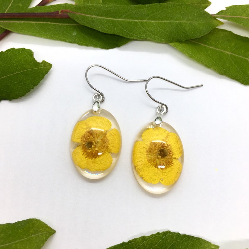 oval real flower earrings with buttercup flowers in eco epoxy resin earhooks made of stainless steel