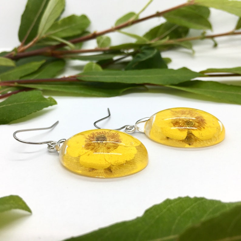 oval real flower earrings with buttercup flowers in eco epoxy resin earhooks made of stainless steel