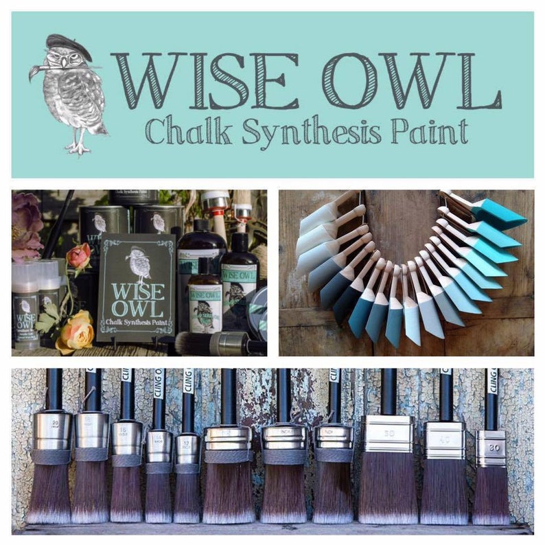 Wise Owl Varnish Pint Etsy