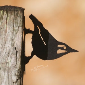 Handgjord svart stålnötväcka siluett