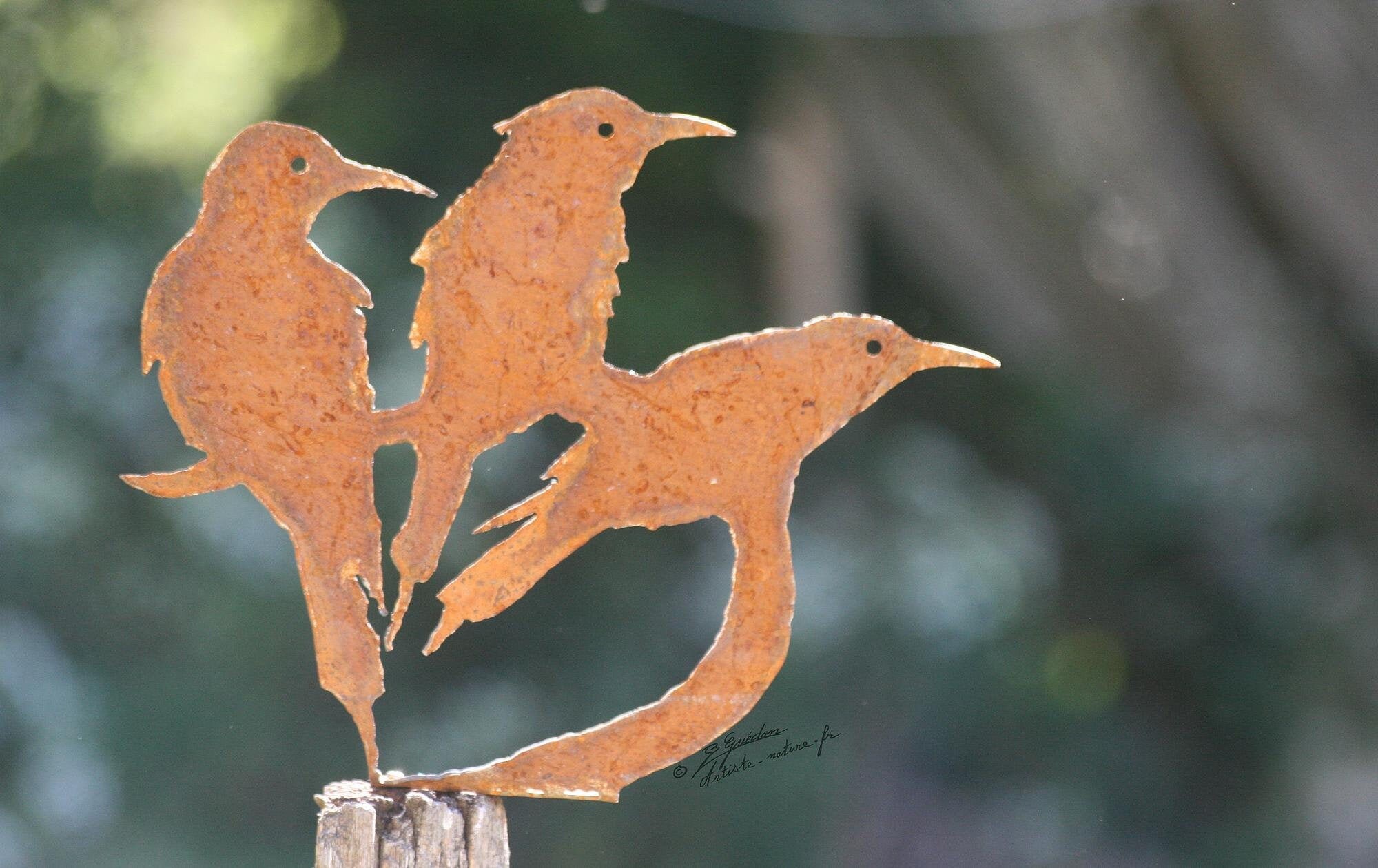 Silhouette Oiseaux Guêpiers en Acier Rouillé Corten Fait Main 23X28cm X 1, 5mm .