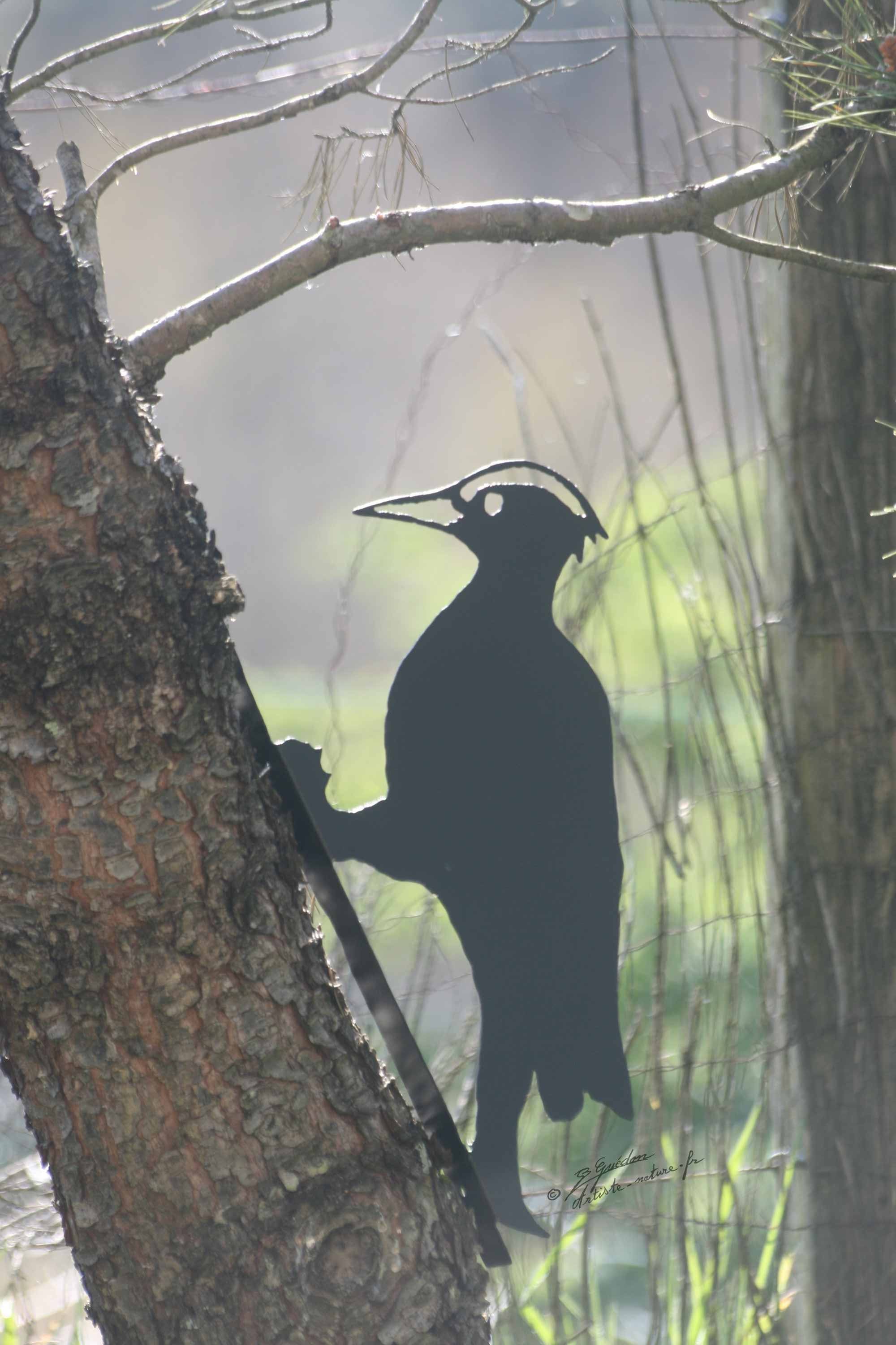 Silhouette Pic Noir, Décor Oiseau en Acier , 35cm X 19 cm 1mm Fait Main