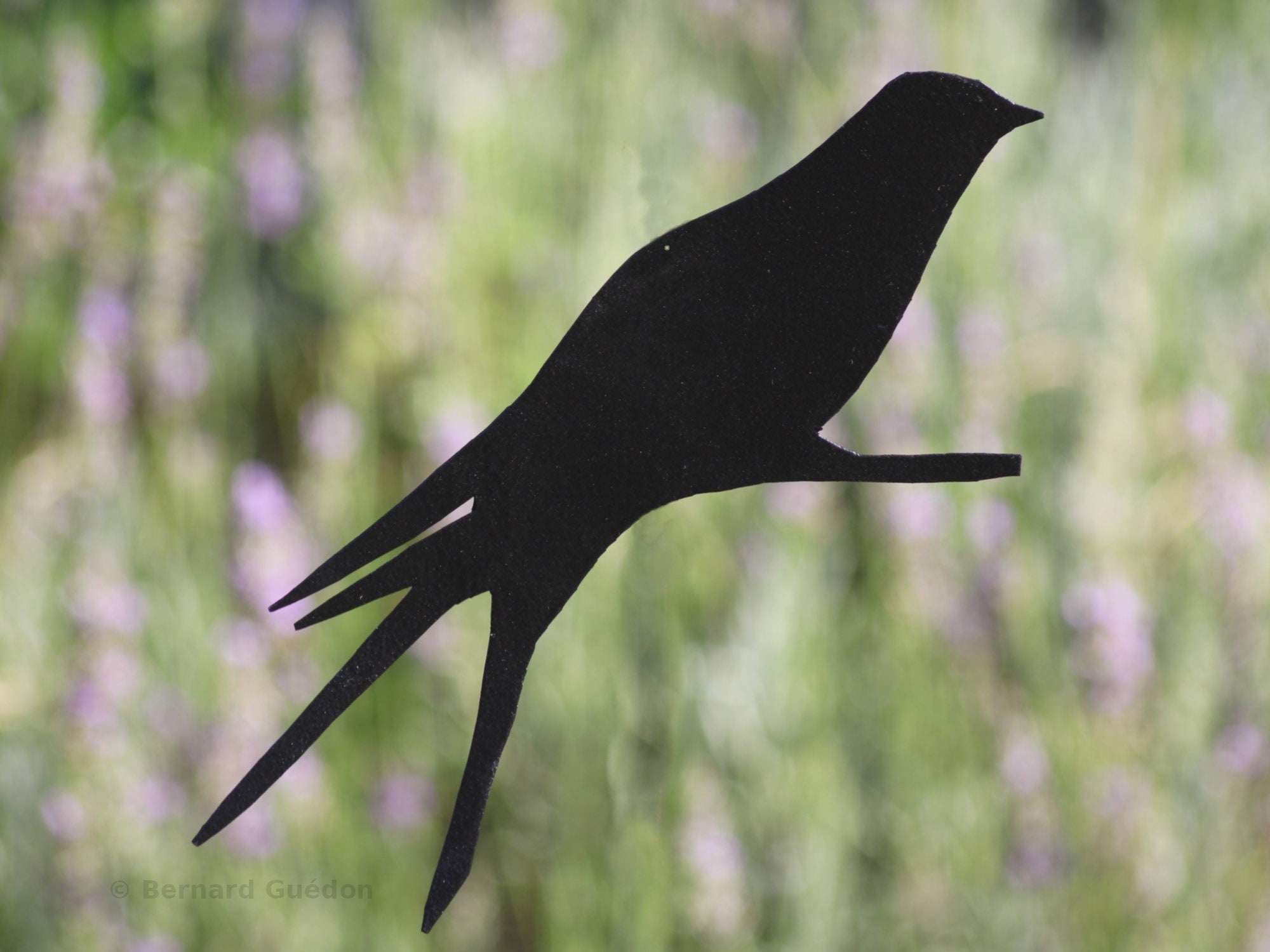 Hirondelle en Acier Galvanisé Noir Fait Main