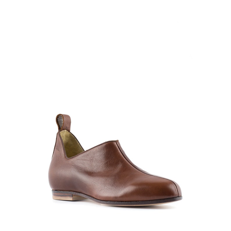 May include: A pair of brown leather slip-on shoes with a pointed toe and a small pull tab at the back.