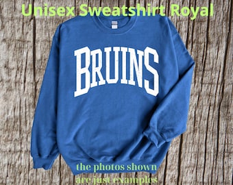 Vintage Bruins T-Shirt, Bruins Mascot Shirt, Bruins Gameday Shirt, Bruins Shirt, Bruins Team Shirt, mascot Bruins, school spirit shirt