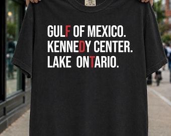 FDT Lake Ontario shirt, Kennedy Center Shirt, Funny Protest Tee, Anti Tr*mp Pro Democracy Shirt, Subtle Political Activism Gift, FDT Shirt