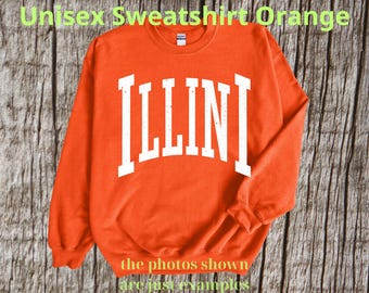Vintage Illini T-Shirt, Illini Mascot Shirt, Illini Gameday Shirt, Illini Shirt, Illini Team Shirt, Go Illini, mascot Illini