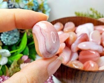 APRICOT PINK AGATE, Agate, Tumbled Stones, Wet Specimen, Crystal Set, Raw Stone, Crystal Grid, Terrarium Kit, Altar Table, Healing Crystals