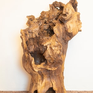 Oak decorative sculpture - &quot;Open oak chest&quot;