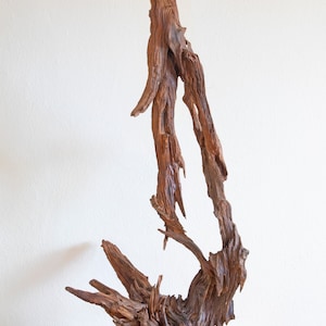 Pine Decorative Sculpture - 