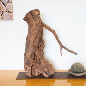 The guardian - Morus nigra - decorative sculpture
