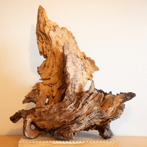 Japanese style - Oak organic decorative sculpture