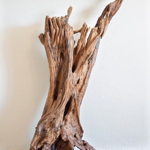 Free, at last - Acacia root sculpture