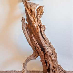 Tempo contra o vento - Morus nigra - escultura decorativa