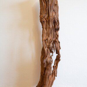 Beauty of the absence - Morus nigra decorative sculpture