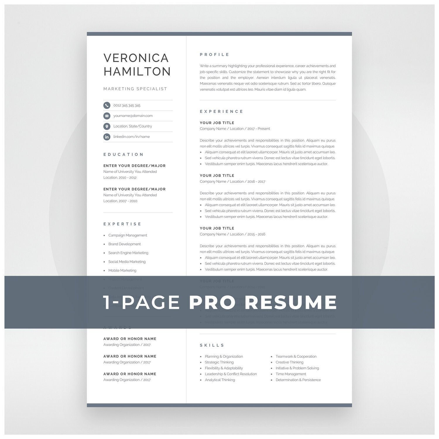 Professional Resume Template Compact 1 Page Resume Template Modern
