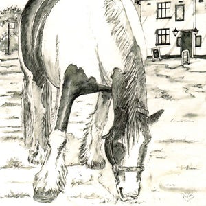 Piebald Cob Horse "Shiloh" at Cley, Norfolk - Quality Giclée Prints and Personalised Cards of an Original Pen & Ink by Karin Hocher