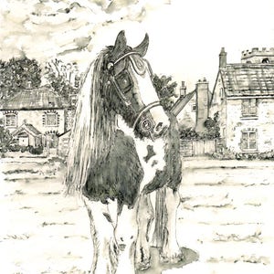 Piebald Cob Horse "Lucky" à Cley-next-the Sea, Norfolk - Impressions Giclée de haute qualité et cartes d'un stylo et encre originaux par Karin Hocher