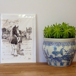 Piebald Cob Horse "Lucky" in Cley-next-the Sea, Norfolk - Grußkarten von Karin Hocher