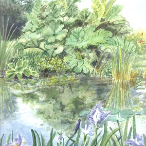 Berce du Caucase - Norfolk Broads - Impressions Giclée de qualité et cartes personnalisées d’une aquarelle originale de Karin Hocher