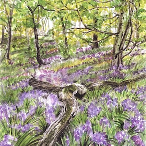 Bluebells at Sheringham - Norfolk - Impressions giclées de qualité et cartes personnalisées d'une peinture à l'aquarelle originale de Karin Hocher