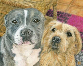 Custom Pet Portrait of your Pet. Example of Staffie and Norfolk Terrier Pastel drawing/painting from photo by Karin Hocher