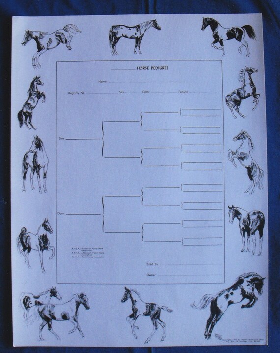 Blank Pedigree Chart For Horses