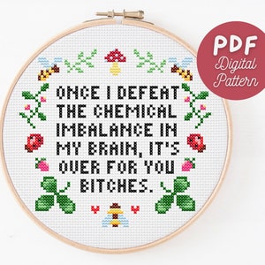 Sassy Cross Stitch Pattern | Snarky Cross Stitch | Funny Cross Stitch Pattern | Floral Border | Instant Download | PDF Digital Pattern