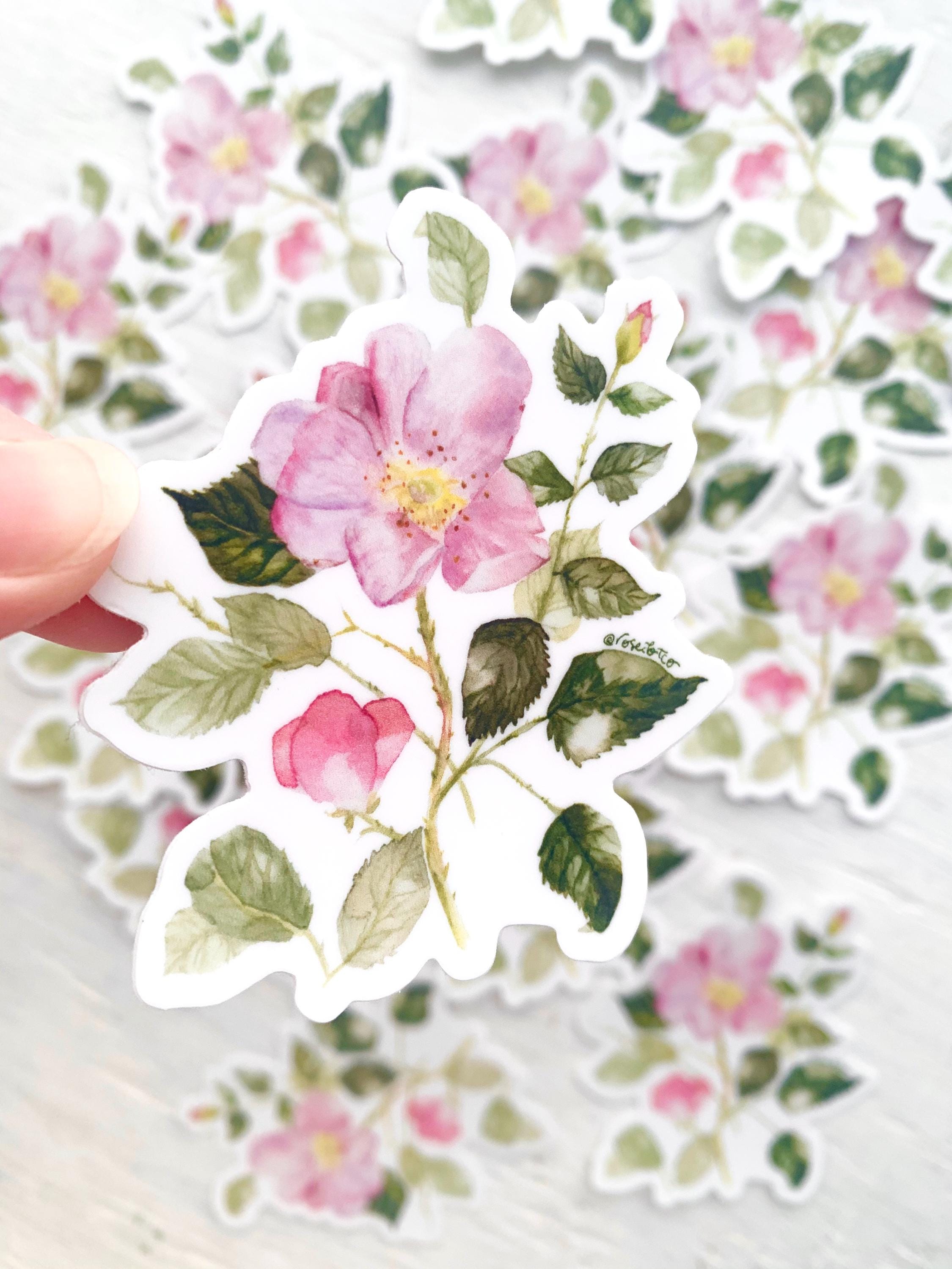 Wild Prairie Rose Vinyl Sticker: Watercolor Painting