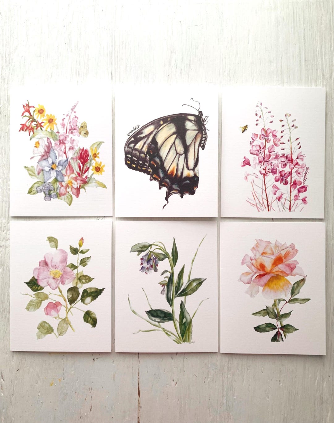 Watercolor Wildflower Notecard Set, Set of 6, Blank Notecards, Floral ...