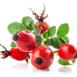 May include: Close-up of a cluster of bright red rose hips with green leaves and water droplets.